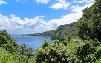 Scenic view of lush greenery and ocean along the Road to Hana Highway, Hana Maui, Hawaii.