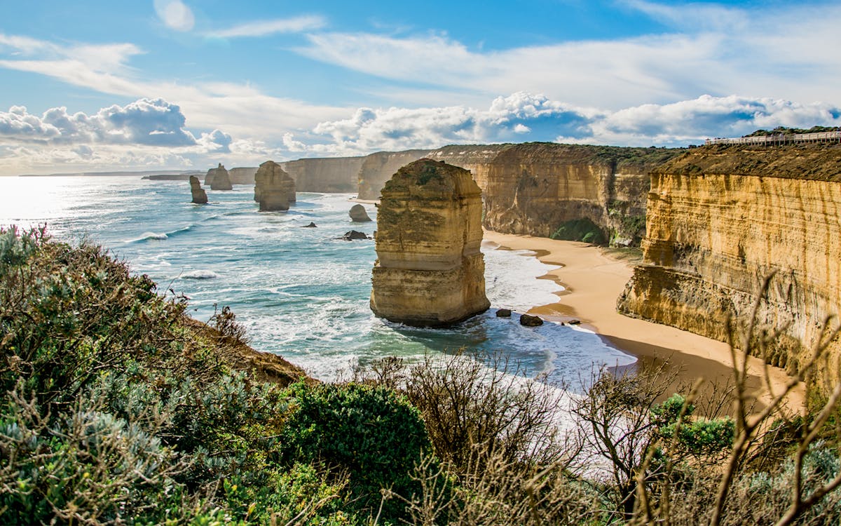 1-day guided reverse eco tour of great ocean road from melbourne-2 1-day guided reverse eco tour of great ocean road from melbourne-2