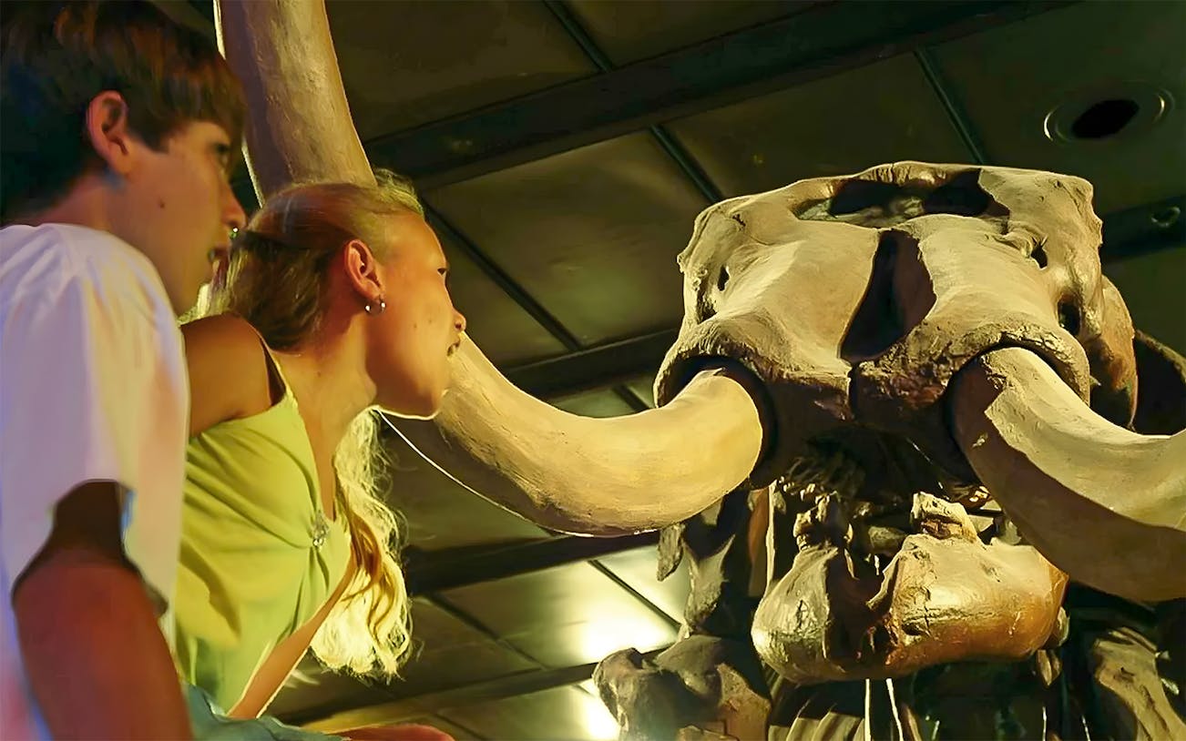 Visitors observing a mammoth skeleton at Houston Museum of Natural Science.