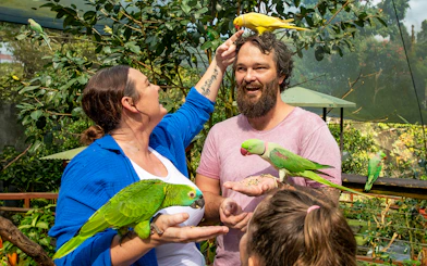 Visitors interacting with colorful parrots at Birdworld Kuranda.