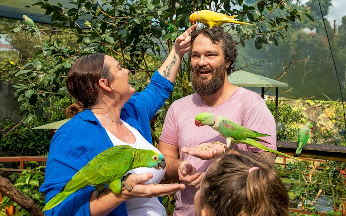 Visitors interacting with colorful parrots at Birdworld Kuranda.
