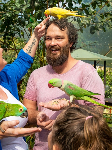 Visitors interacting with colorful parrots at Birdworld Kuranda.