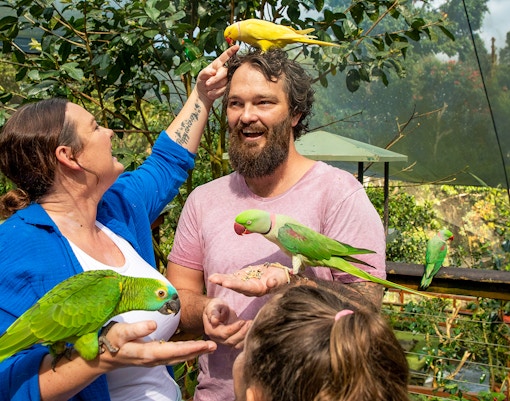 Visitors interacting with colorful parrots at Birdworld Kuranda.