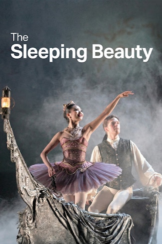 Sleeping Beauty product image