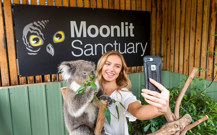 Visitor taking selfie with koala at Moonlit Sanctuary Wildlife Park.
