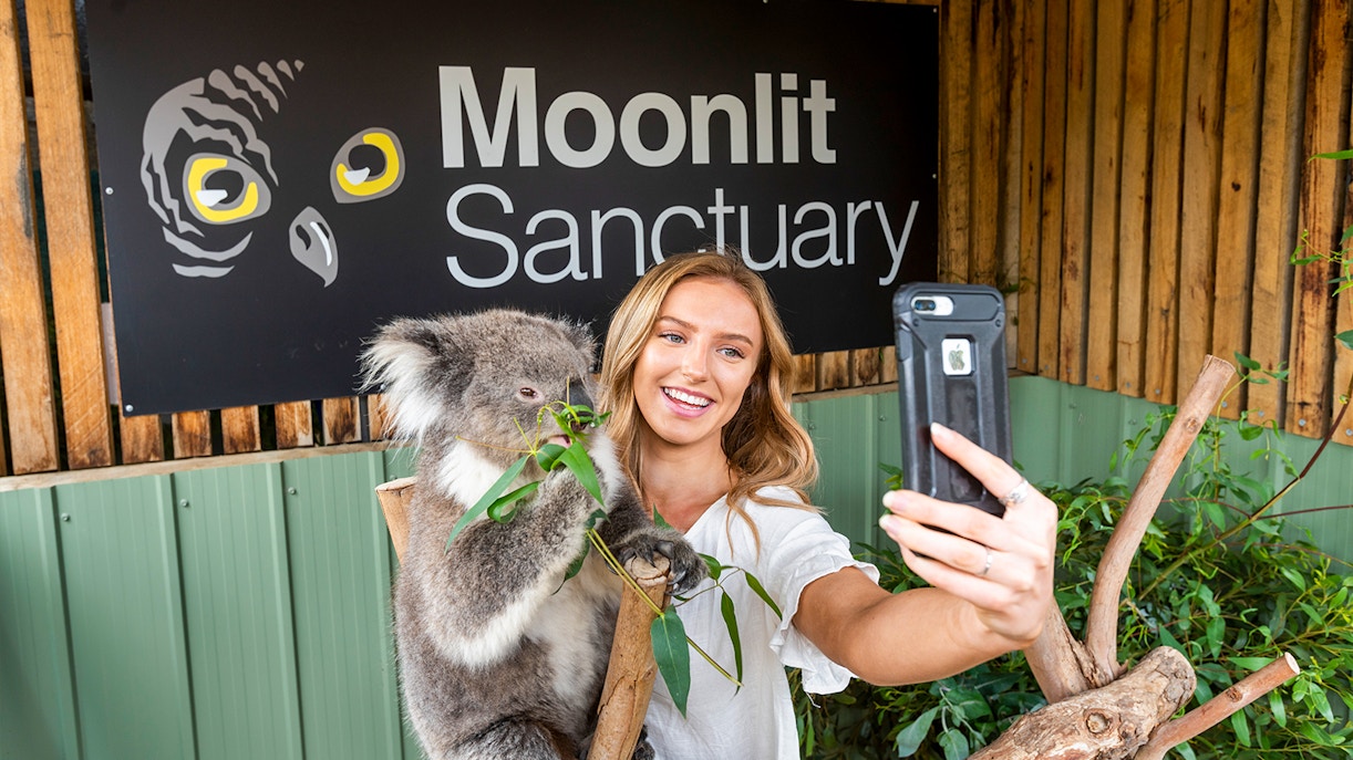 Moonlit Sanctuary Wildlife Park Admission Tickets