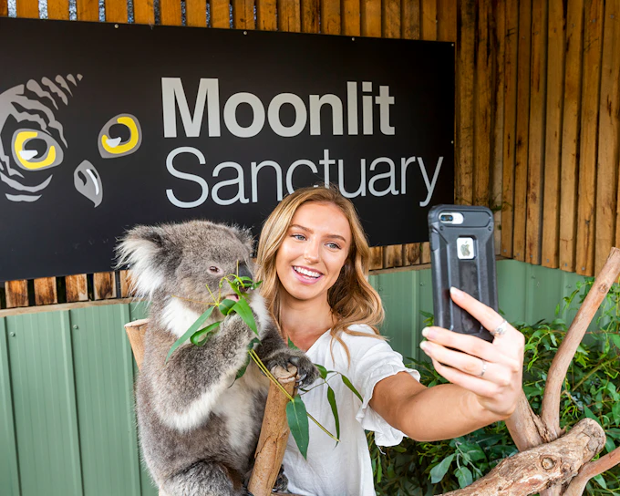 Moonlit Sanctuary Wildlife Park Admission Tickets