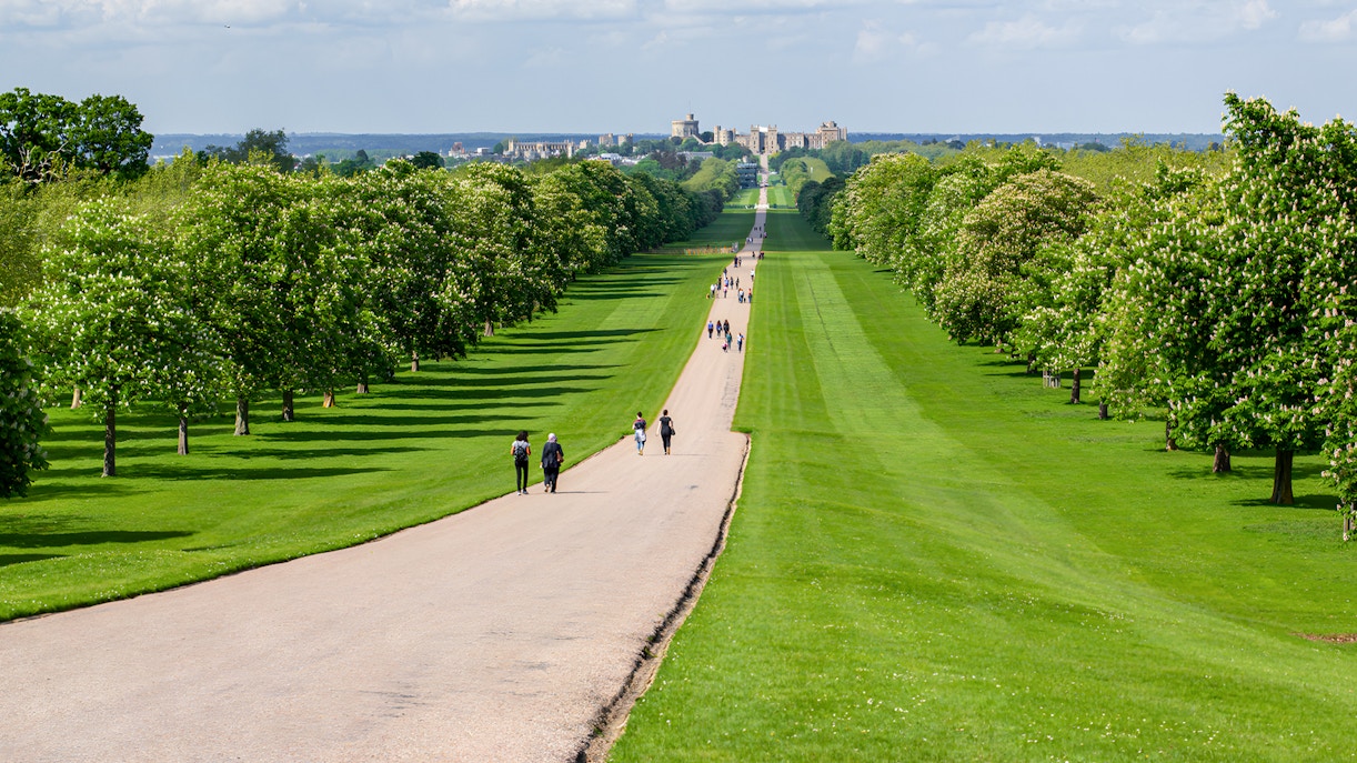 People walking along the Long Walk towards Windsor Castle, surrounded by green trees.