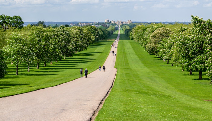 People walking along the Long Walk towards Windsor Castle, surrounded by green trees.