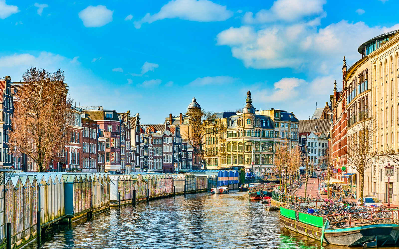 Amsterdam canal cruise with audio guide in early spring, showcasing historic buildings and blooming trees.