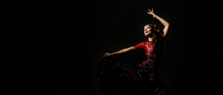 Flamenco Show Granada