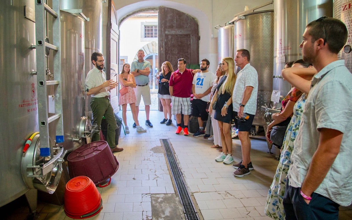 Winery tour group in Tuscany learning about wine production.