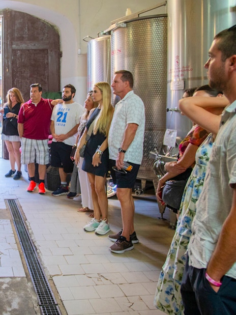 Winery tour group in Tuscany learning about wine production.