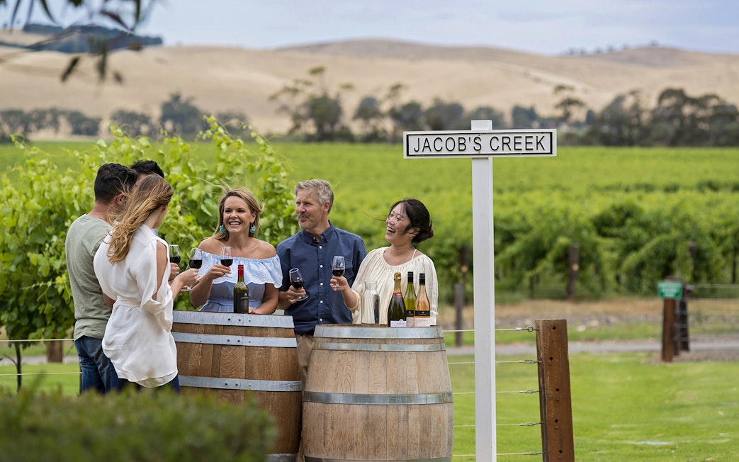 Group enjoying wine tasting at Jacob's Creek vineyard, Barossa Valley.