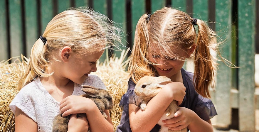 Parcul de animale sălbatice Oakvale