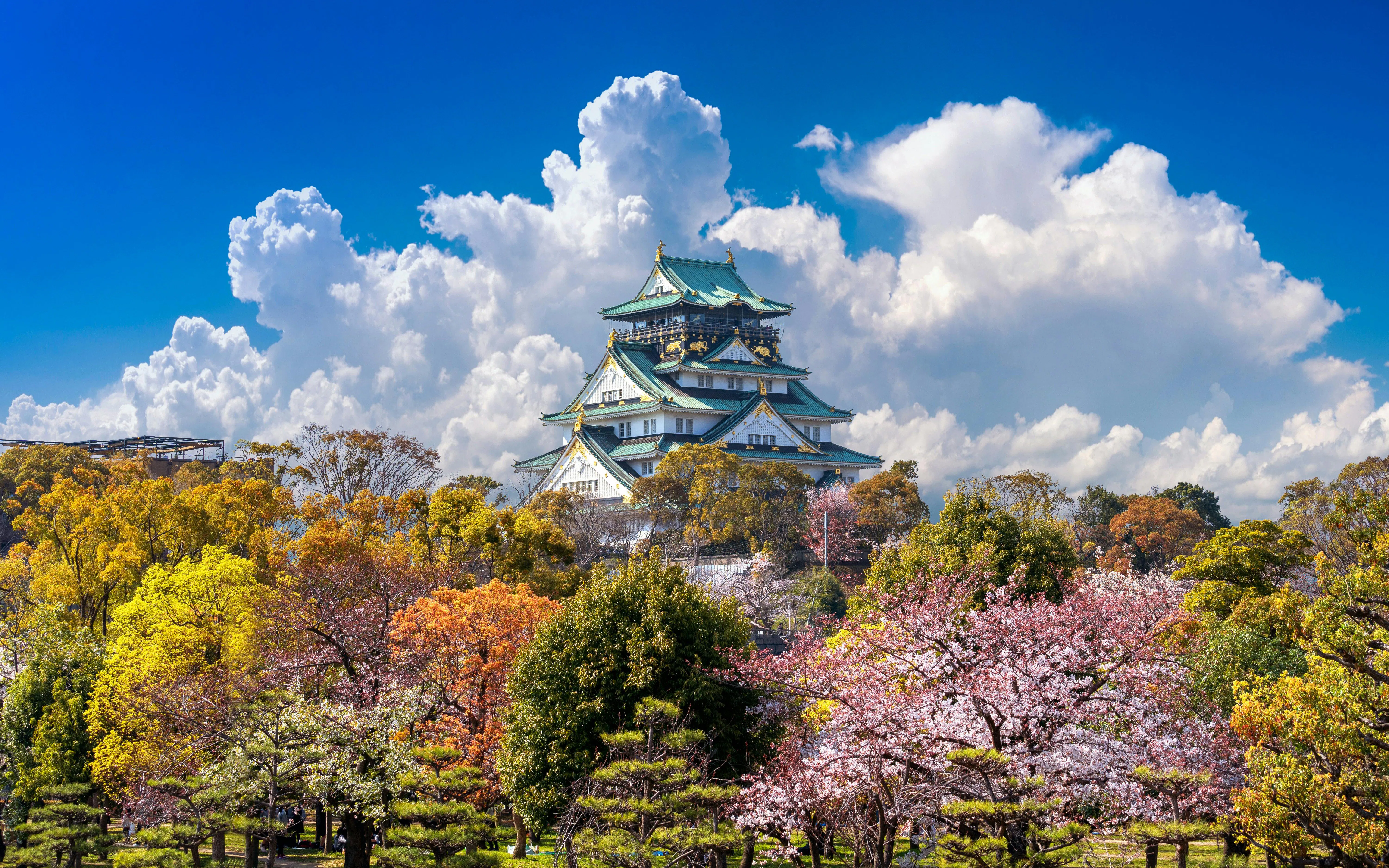 Osaka Castle with cherry blossoms in full bloom, Japan.