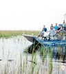 Parque recreativo Sawgrass