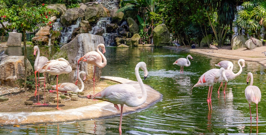 Park ptaków w Kuala Lumpur