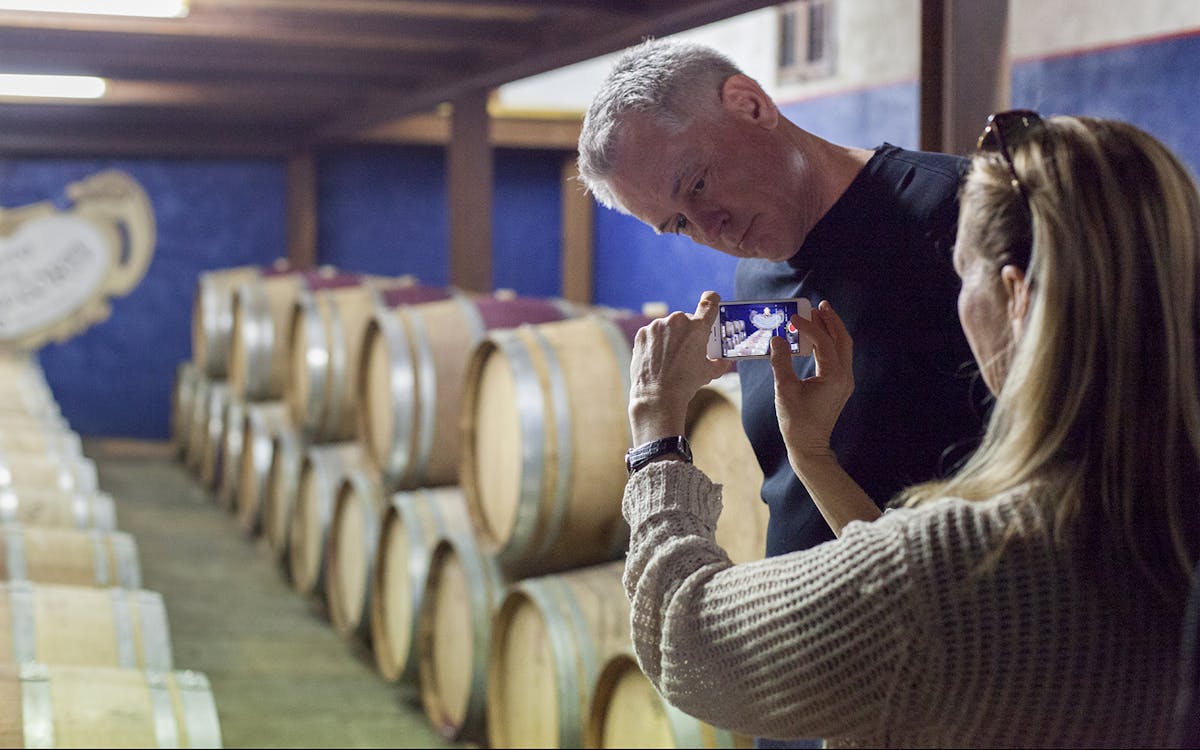 guided immersive wine & olive oil experience in chianti-5 guided immersive wine & olive oil experience in chianti-5