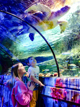 SEA LIFE Brighton