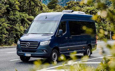 Tour van on scenic road to Milford Sound, surrounded by lush greenery.