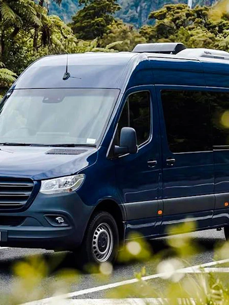 Tour van on scenic road to Milford Sound, surrounded by lush greenery.