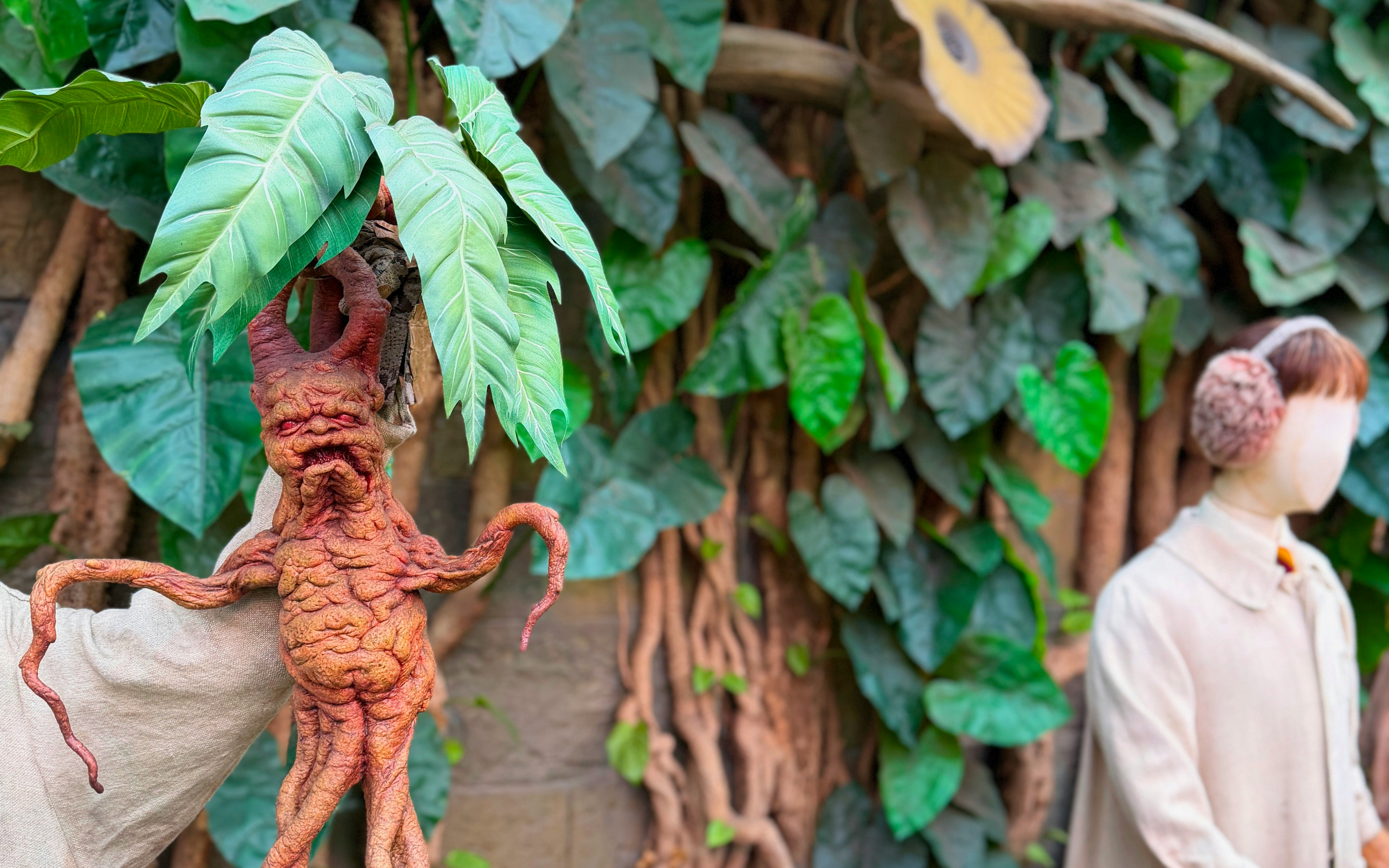 Mandrake plant held in Professor Sprout's greenhouse with leafy backdrop.