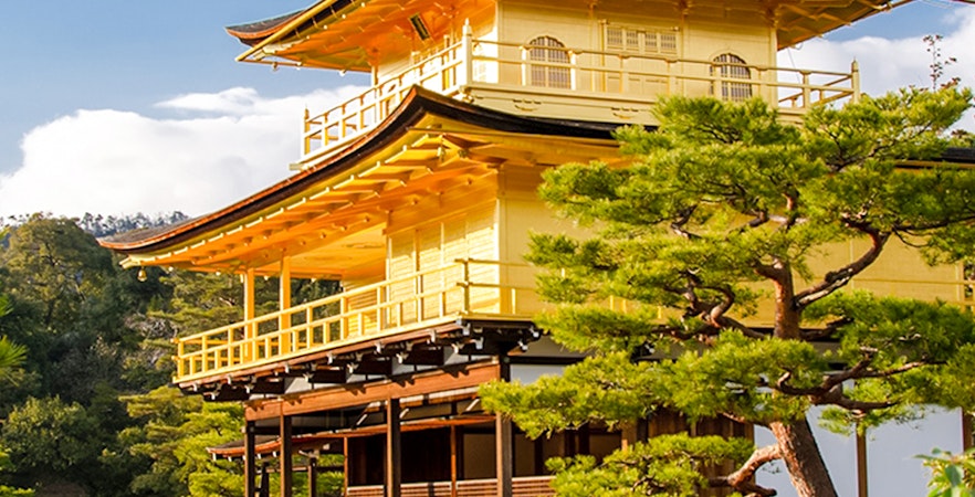 Bilete Castelul Nijo