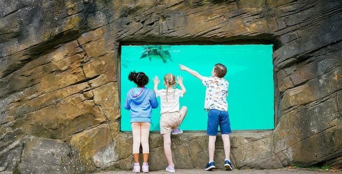 Zoo di Blackpool