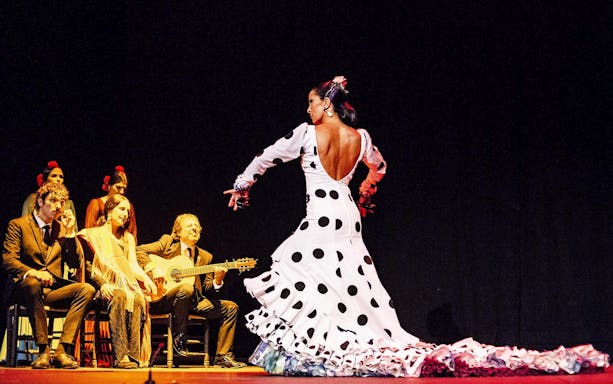 Flamenco dancer performing on stage with musicians during Pasión espectáculo flamenco.