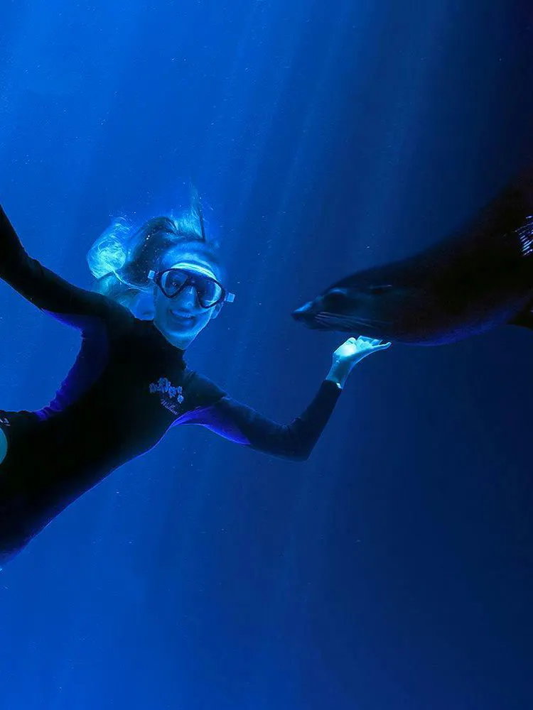 Woman swimming with a seal at SEA LIFE Sunshine Coast.