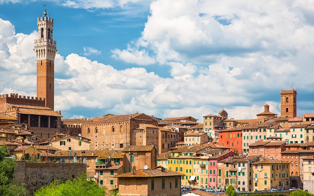 Siena cityscape with Torre del Mangia, Italy, on a small-group guided tour.