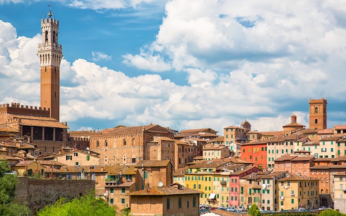 Siena cityscape with Torre del Mangia, Italy, on a small-group guided tour.
