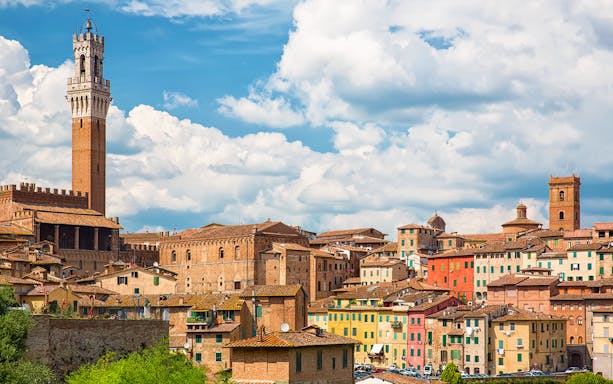 Siena cityscape with Torre del Mangia, Italy, on a small-group guided tour.