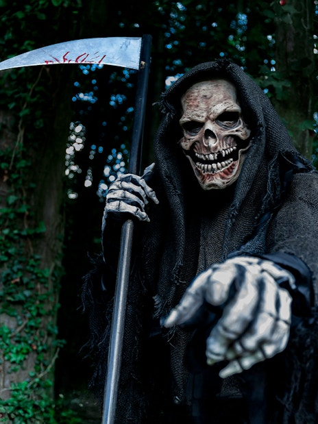Grim Reaper holding a scythe in a forest setting.