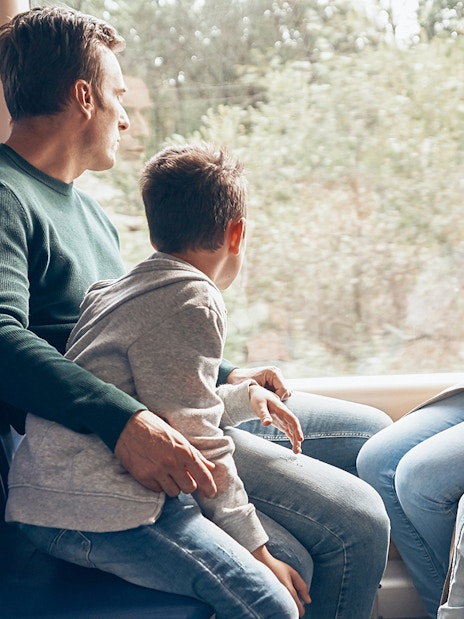Family enjoying scenic train ride through countryside.