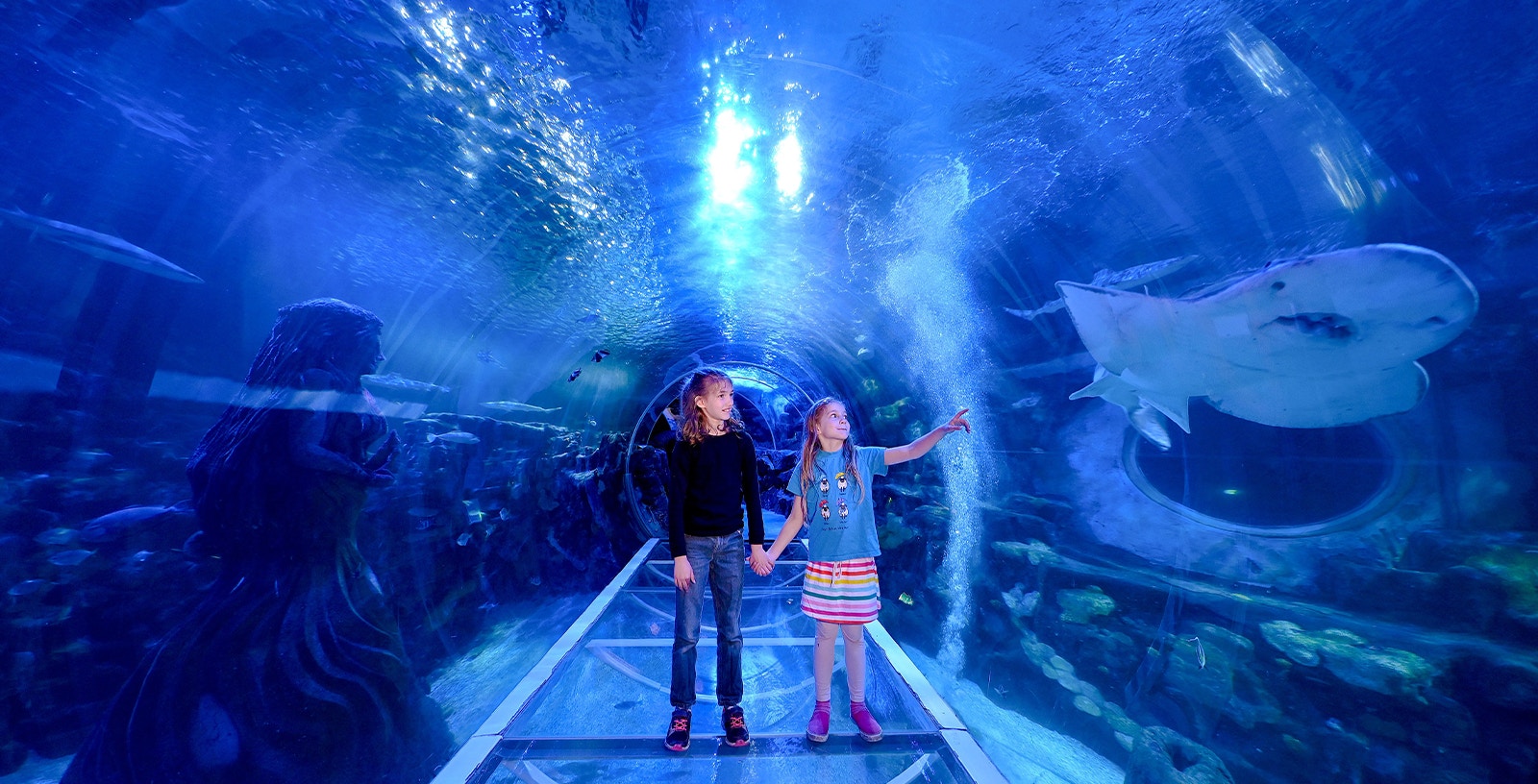 Children walking through underwater tunnel at SEA LIFE Birmingham.