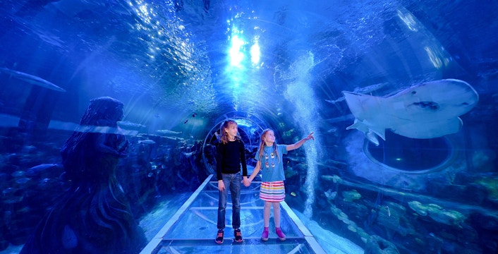 SEA LIFE Birmingham Tickets