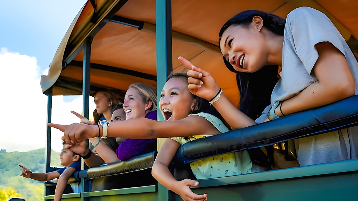Tourists enjoying a scenic view during the Jungle Expedition Tour at Kualoa Ranch, Hawaii.