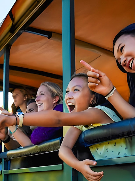 Tourists enjoying a scenic view during the Jungle Expedition Tour at Kualoa Ranch, Hawaii.