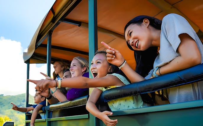 Tourists enjoying a scenic view during the Jungle Expedition Tour at Kualoa Ranch, Hawaii.
