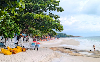selvguidet dagstur til koh samet fra bangkok eller pattaya, inkludert transport-8