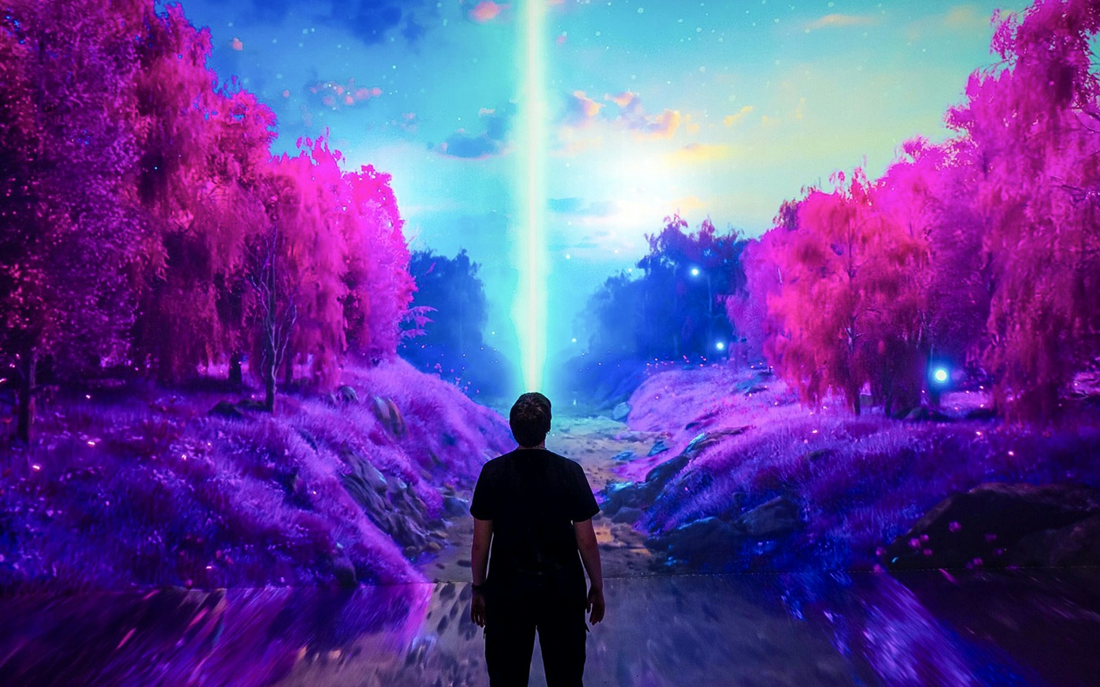 Guests viewing digital art installation at ARTECHOUSE New York.