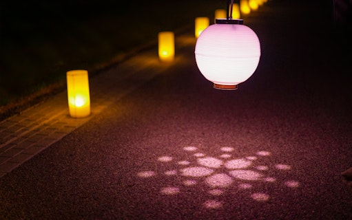 Lanterns illuminating path at NAKED Sakura Night Garden, Shinjuku Gyoen 2023.