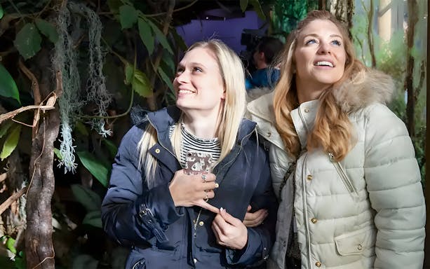 Visitors exploring an exhibit at London Zoo.