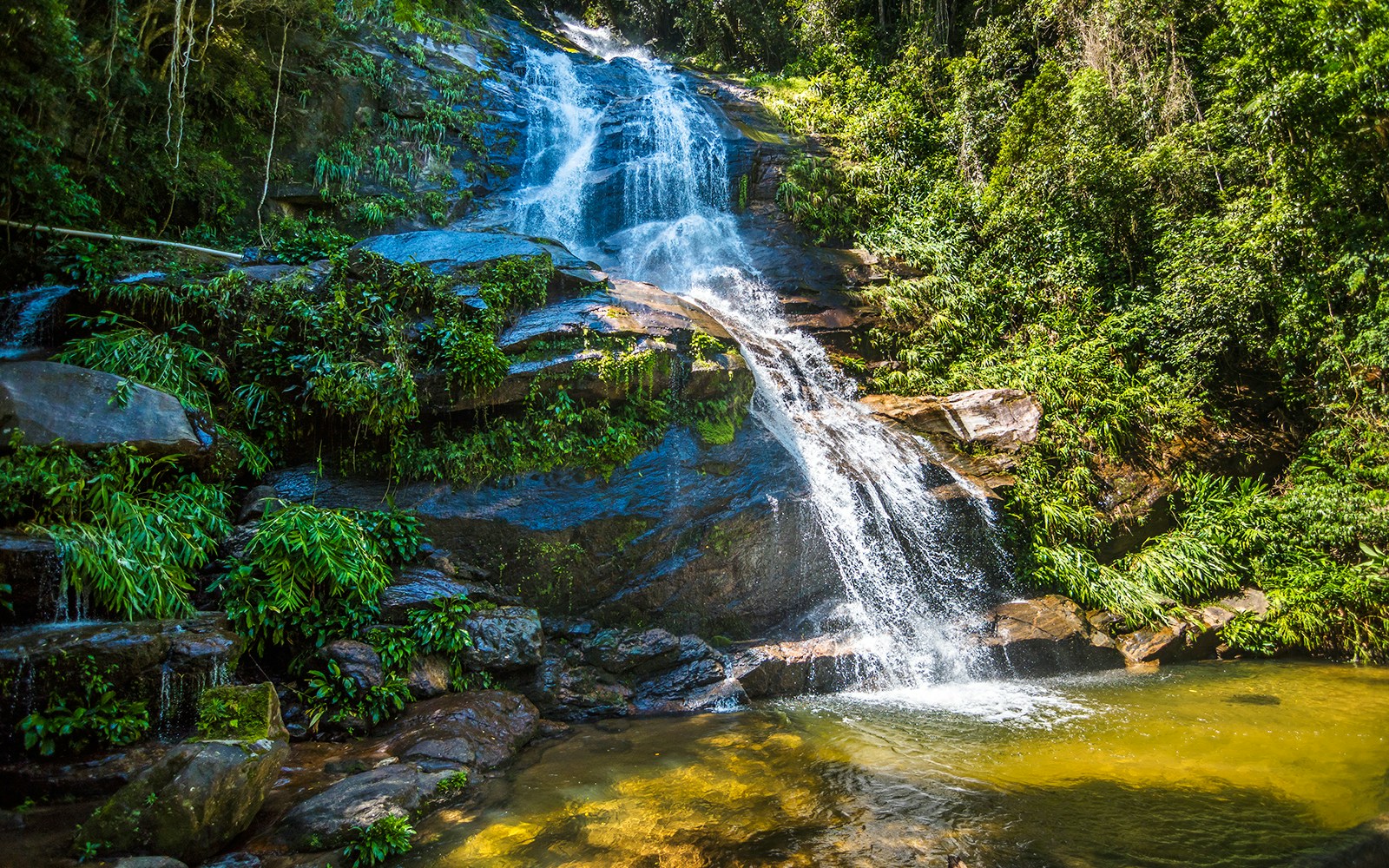 Cascatinha Taunay waterfall flowing in Tijuca Forest, Brazil.