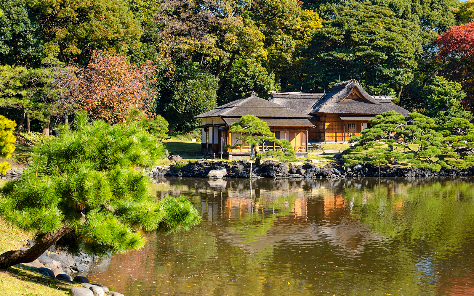 Traditional tea house by a pond in Hamarikyu Garden, Tokyo.