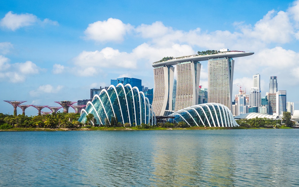 Gardens by the Bay and Marina Bay Sands in Singapore skyline.