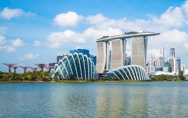 Gardens by the Bay and Marina Bay Sands in Singapore skyline.
