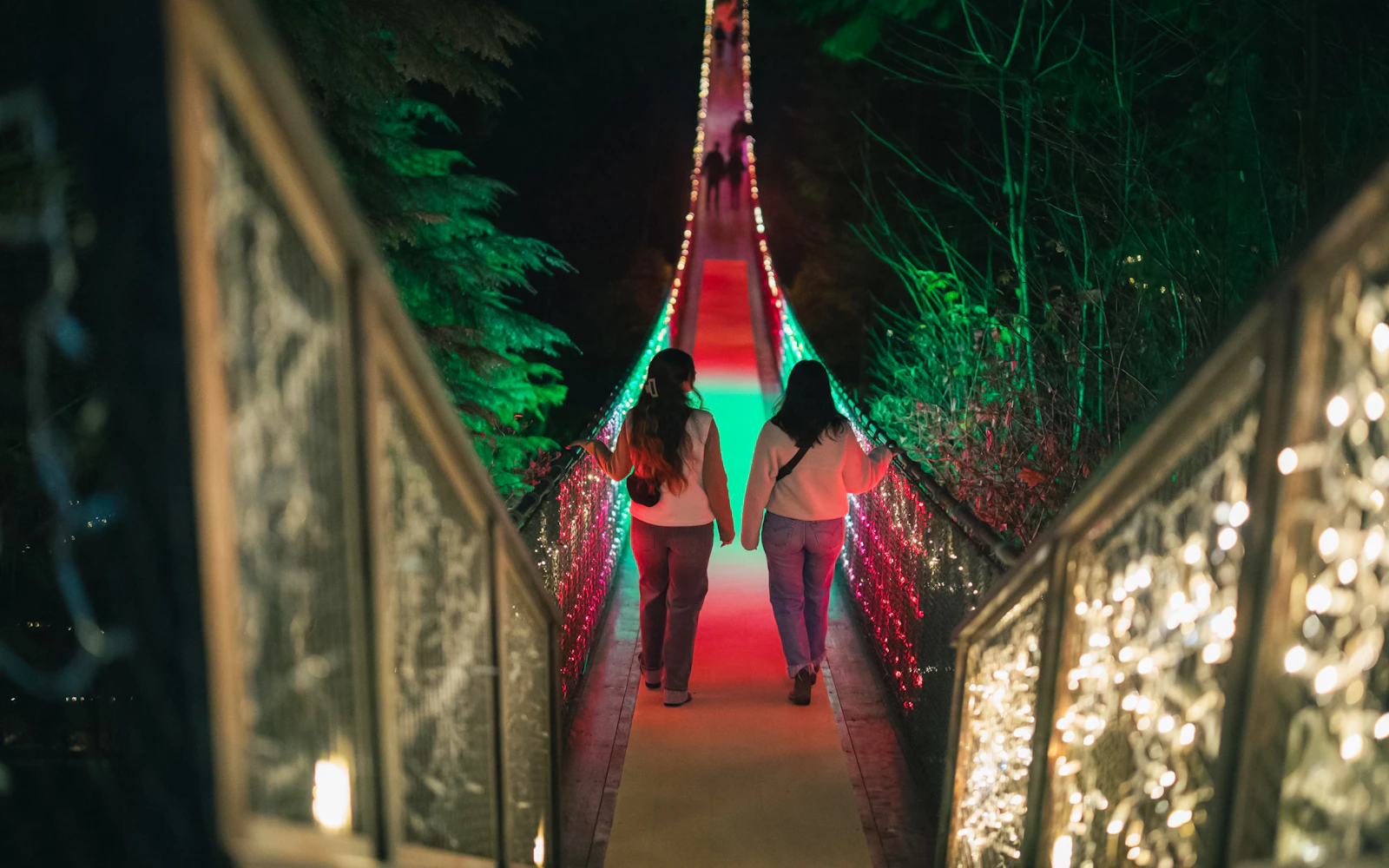 From Vancouver: Capilano Suspension Bridge Park Canyon Lights Tour (Product 53090)